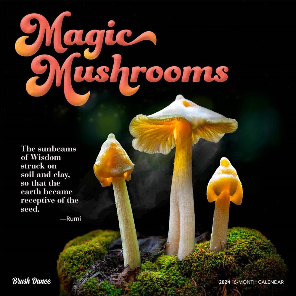 Magic Mushrooms Wall product image