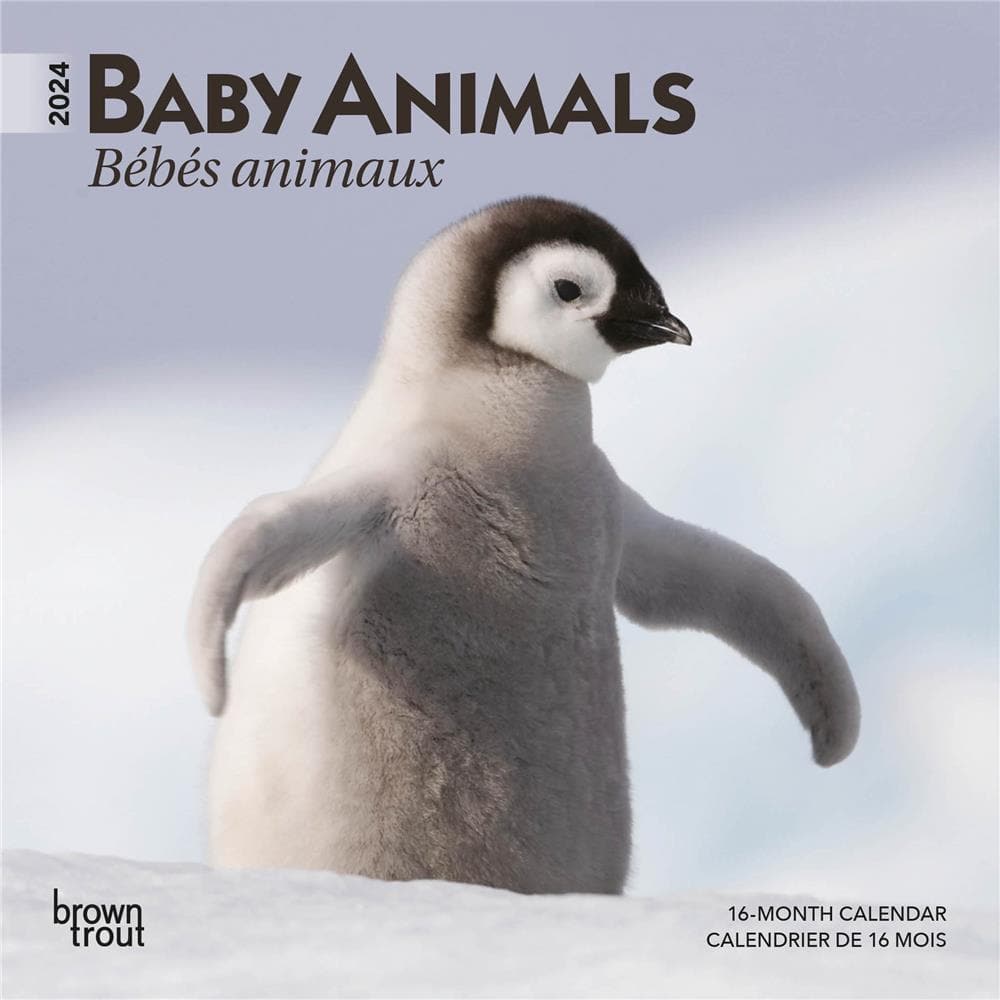 Bebes Animaux Baby Animals 2024 Mini Calendar (French) product image