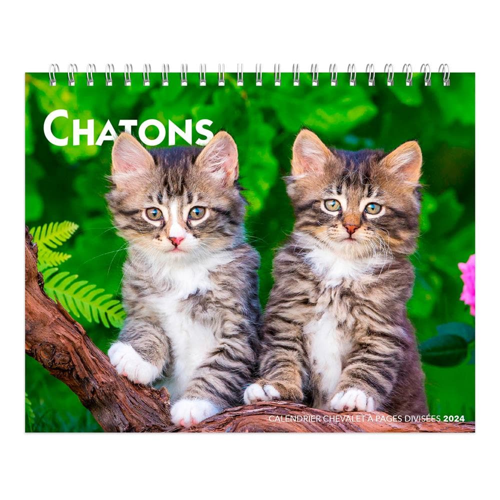 Chatons 2024 Easel Calendar (French) product image