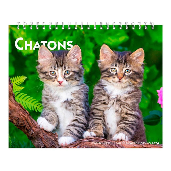 CALENDRIER CHATONS 2024: 9782809919912: Collectif: Books 