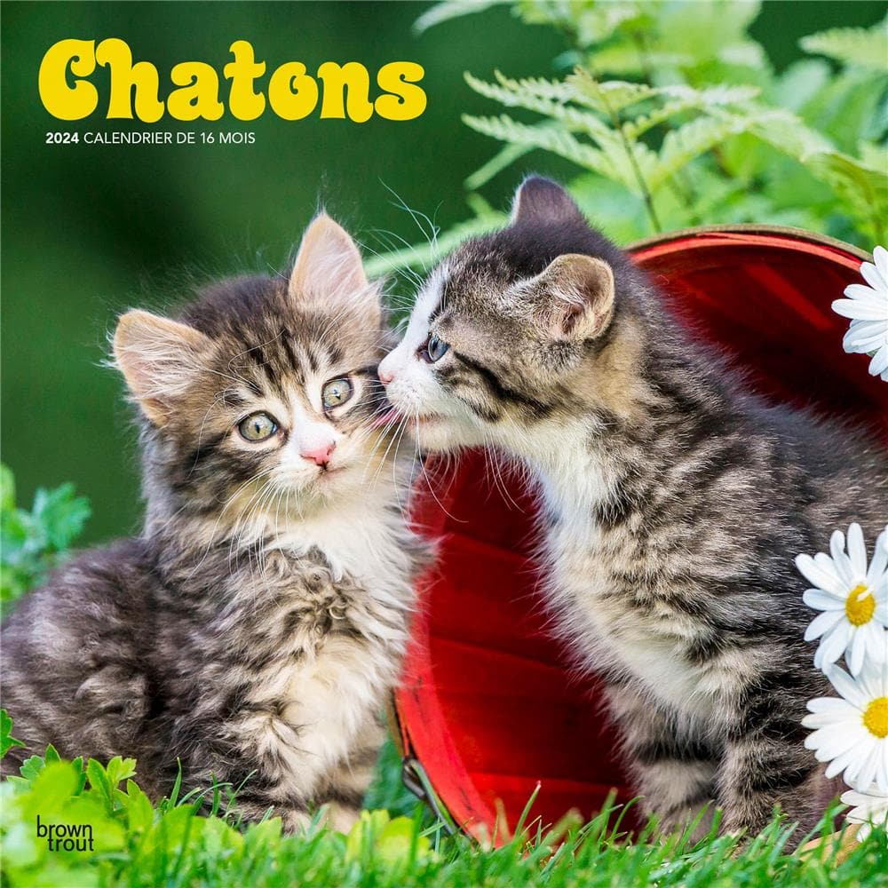 Chatons 2024 Wall Calendar (French) product image
