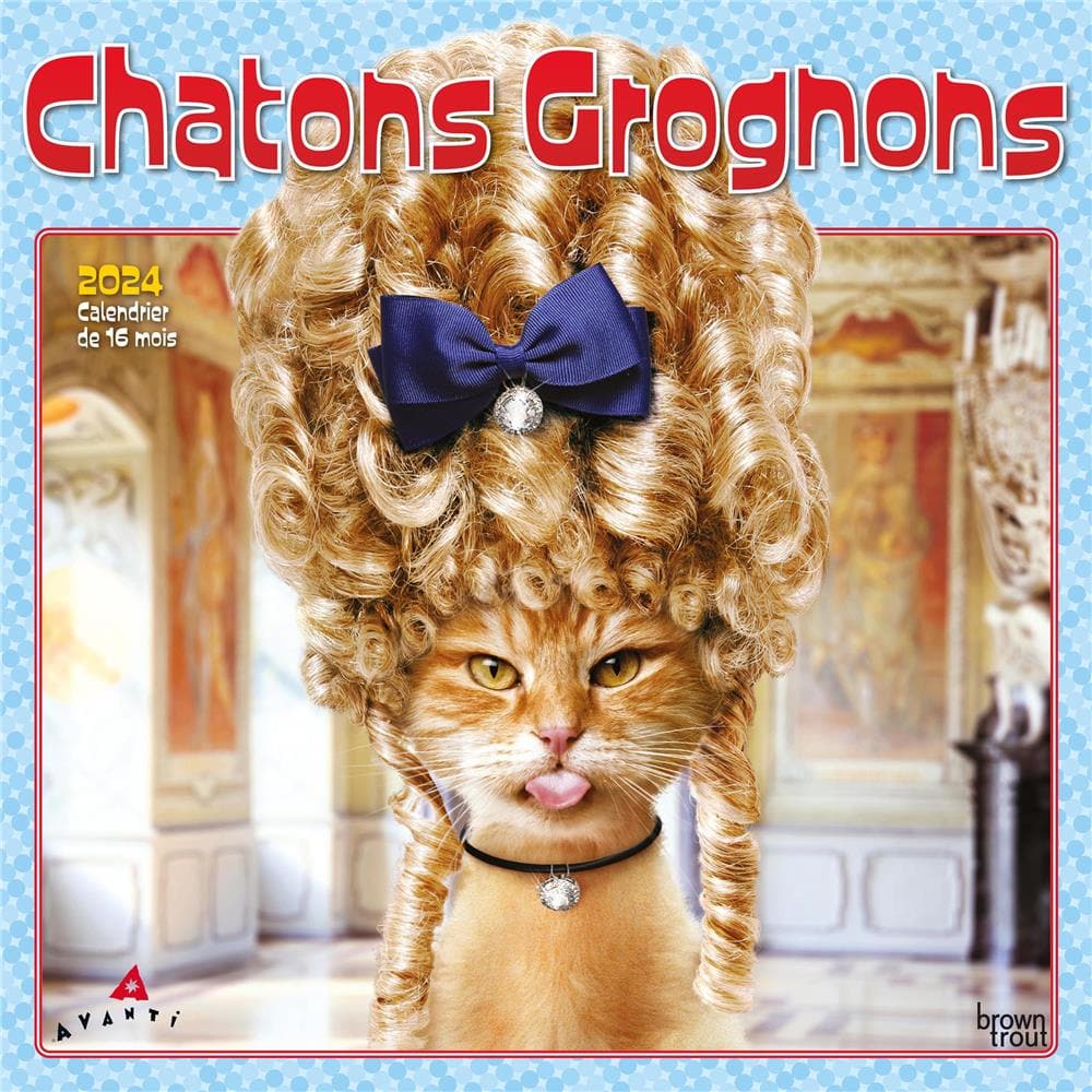 Chatons Grognons 2024 Wall Calendar (French) product image