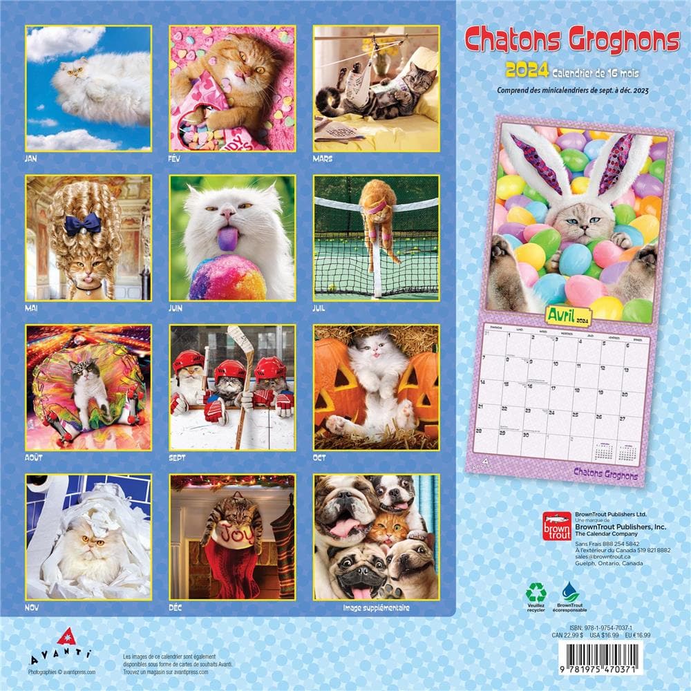 Chatons Grognons 2024 Wall Calendar (French) product image