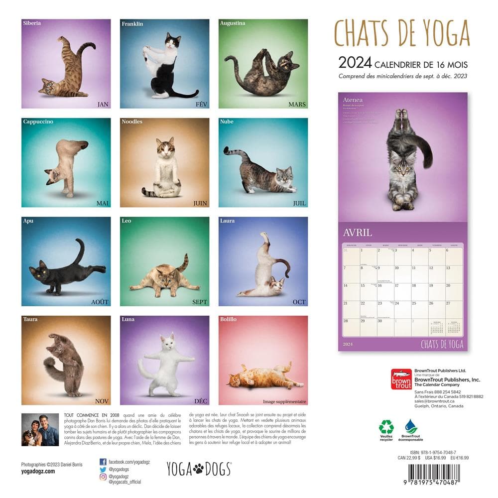 Chats de Yoga 2024 Wall Calendar (French) product image