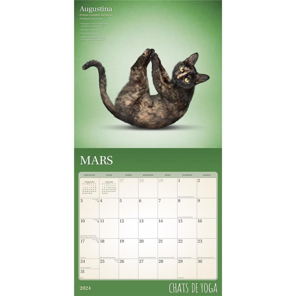Chats de Yoga 2024 Wall Calendar (French) product image
