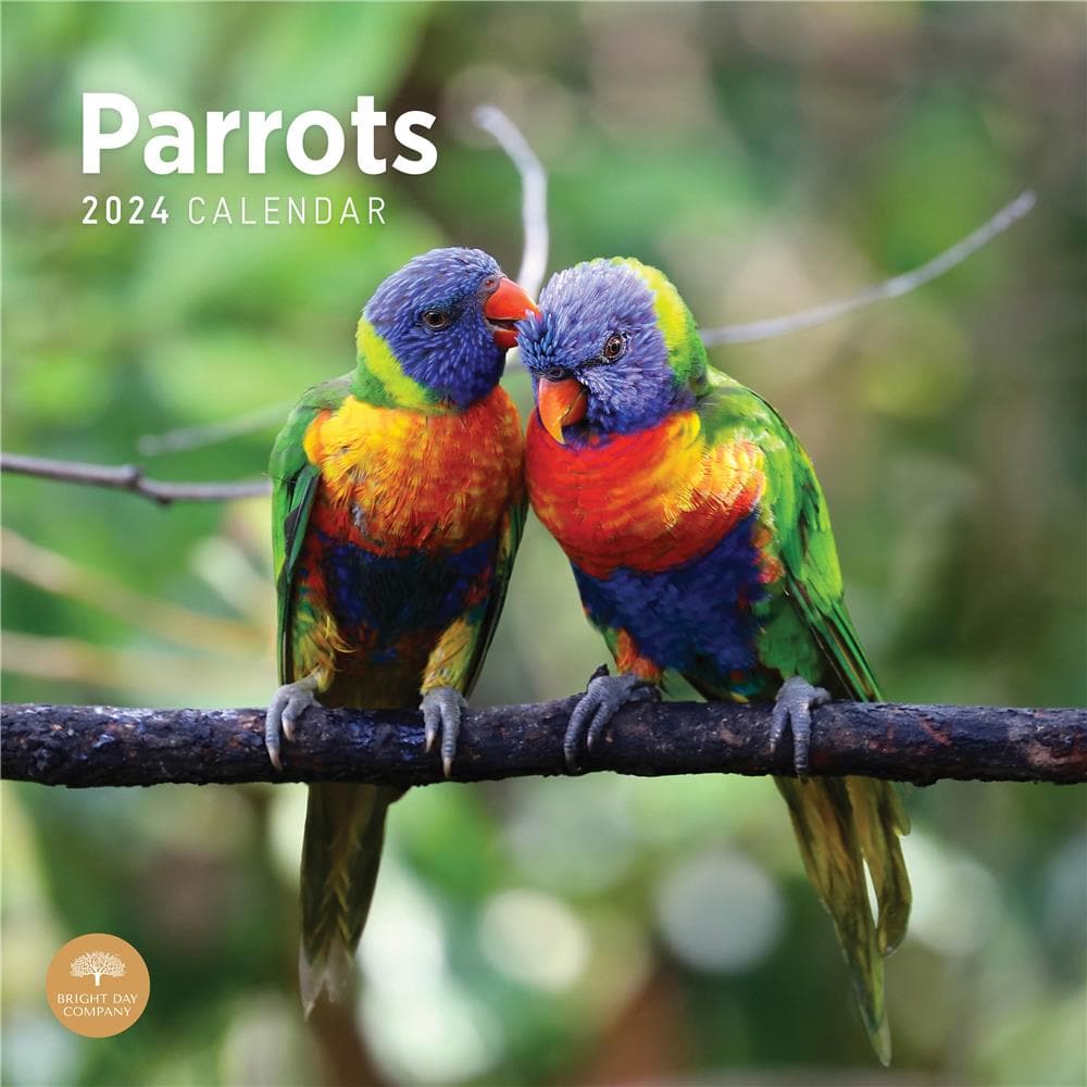 Parrots 2024 Wall Calendar product image