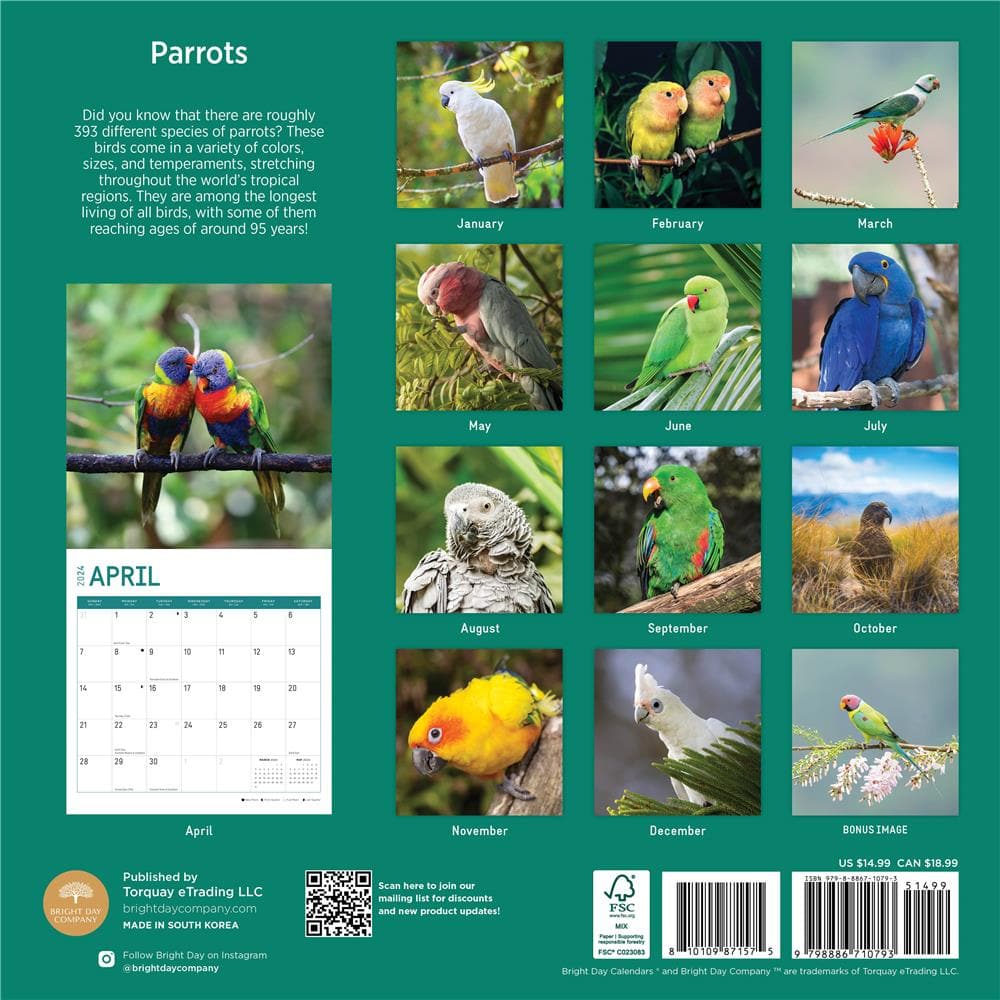 Parrots 2024 Wall Calendar product image