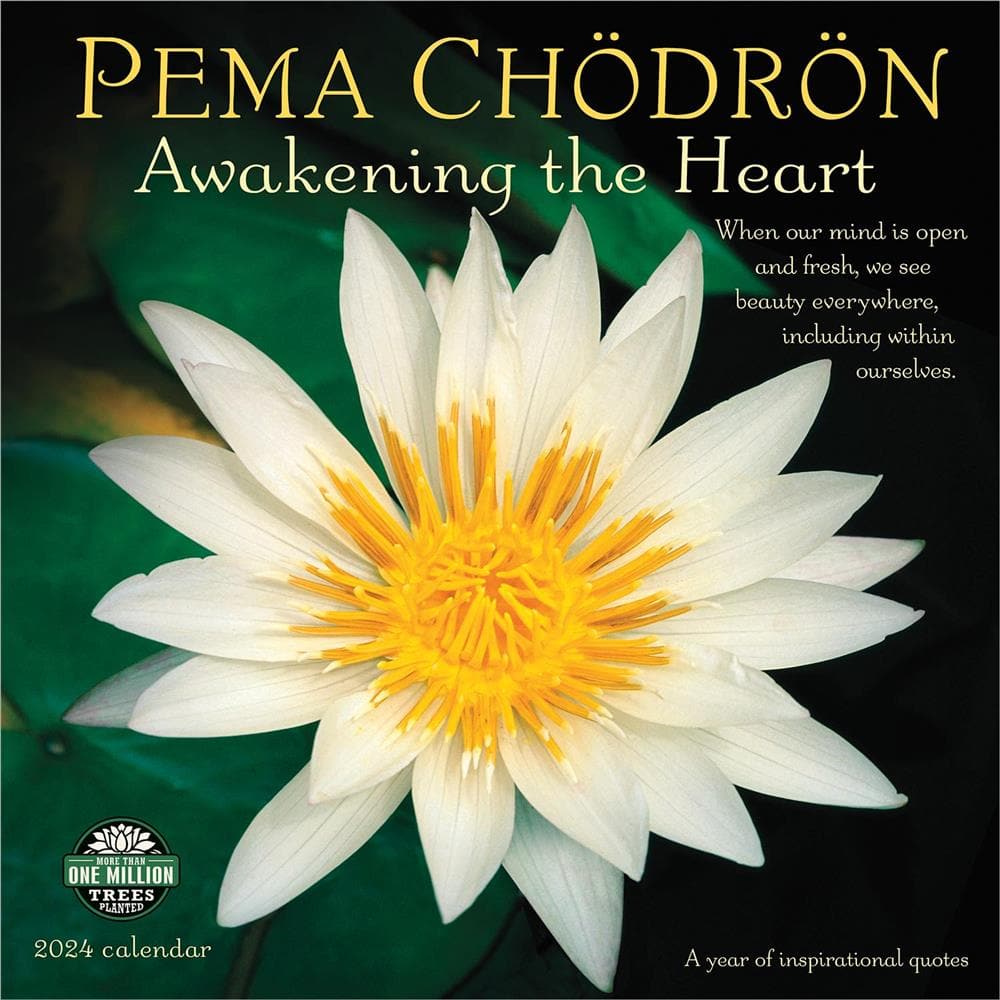 Pema Chodron Awakening the Heart 2024 Wall Calendar product image