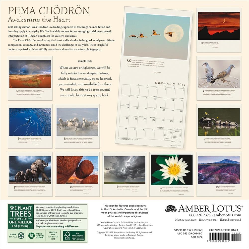 Pema Chodron Awakening the Heart 2024 Wall Calendar product image