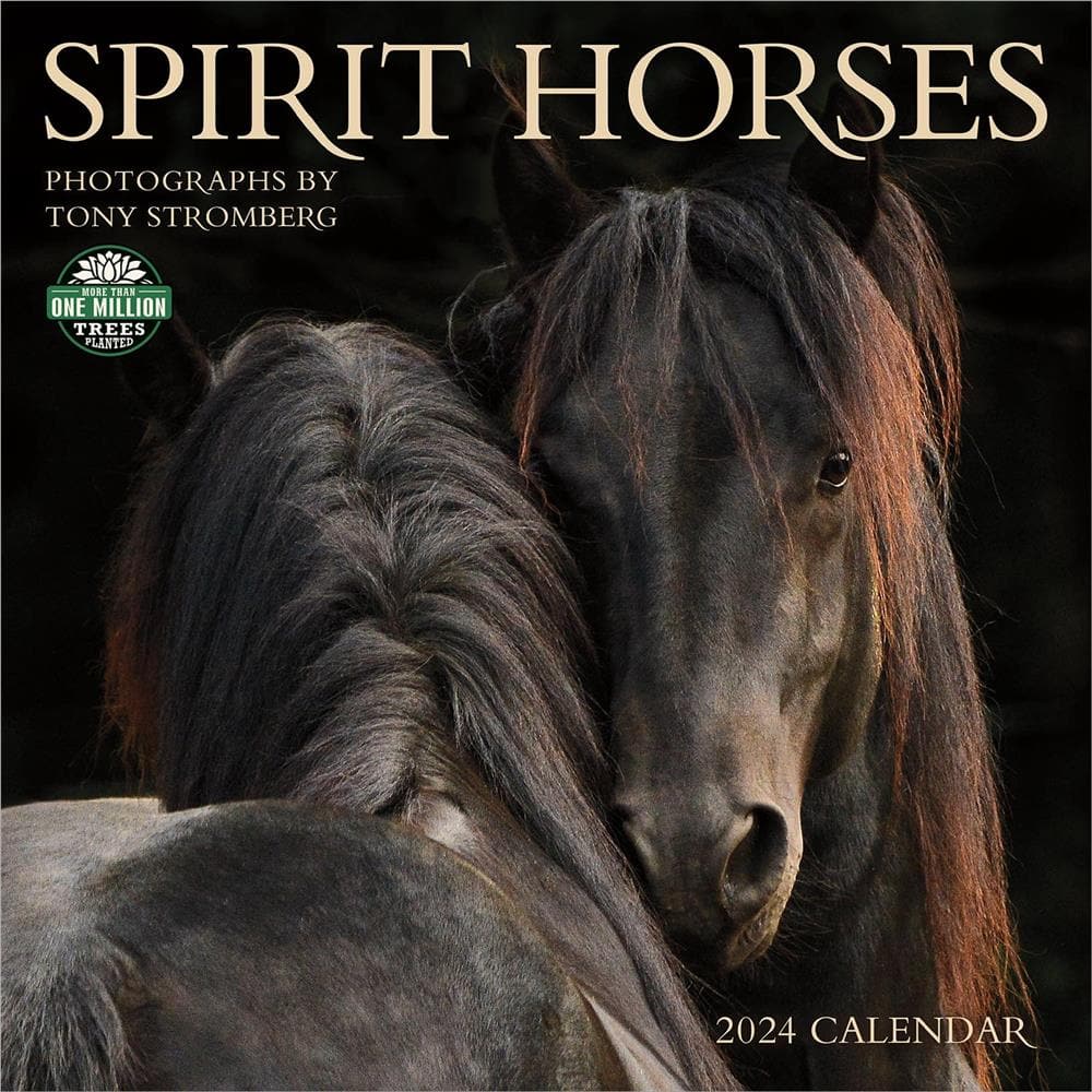 Spirit Horses 2024 Wall Calendar product image