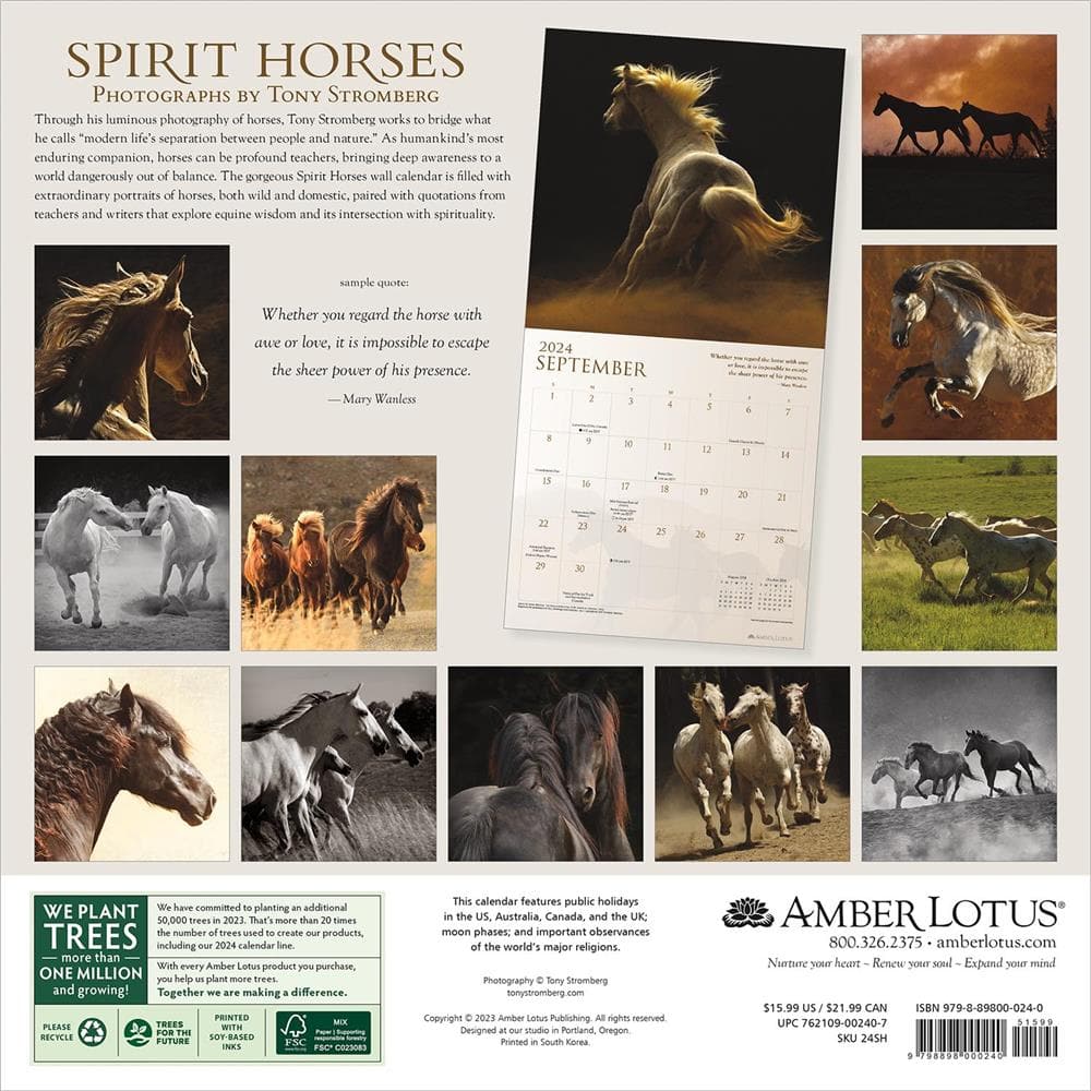 Spirit Horses 2024 Wall Calendar product image