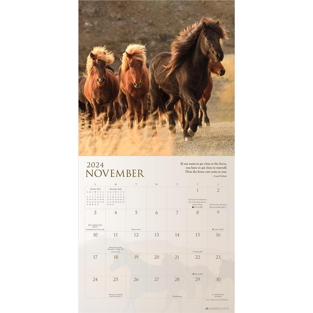 Spirit Horses 2024 Wall Calendar product image